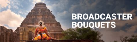 Get the Individual Broadcaster Bundle Packs with Dish TV