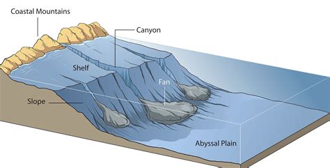 Continental Shelf Definition