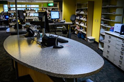 Pierce County Library System Services 的图像结果