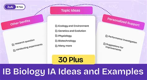 Image result for IB Blog Example