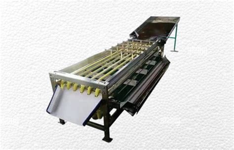 Size Grading Machine Manufacturers in India - Durva Automation