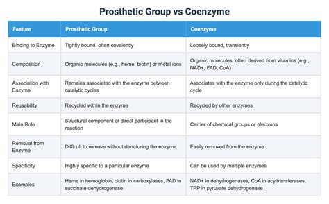 Prosthetic Group vs Coenzyme
