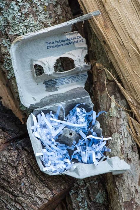 Image result for Easy Fire Starters