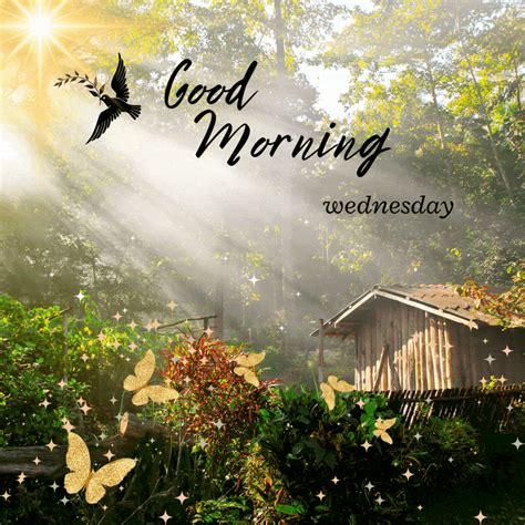 Good Morning wednesday GIFs to boost your Midweek Motivation