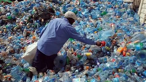 UP Mobilizes 22,000 Schools For Massive World Environment Day Campaign ...