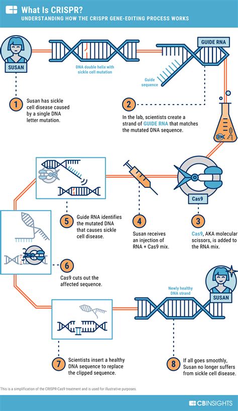 CRISPR Technology Explained 的图像结果
