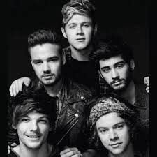 One Direction Interviews 的图像结果