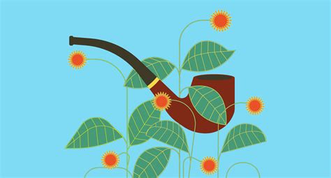 Does Kratom Show Up On Probation Drug Tests? Here's What You Need to Know - Kratom.org