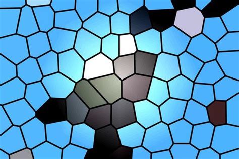 Image result for Turtle Shell Texture Card