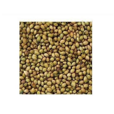 Coriander / Dhania Seeds – Himkhand