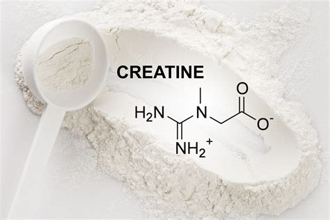 Creatine Monohydrate Supplements | BULB