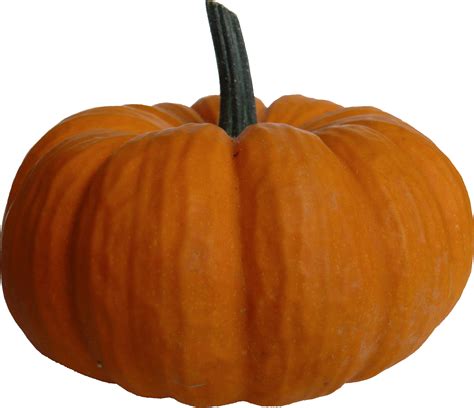 Pumpkin PNG Transparent Images | PNG All