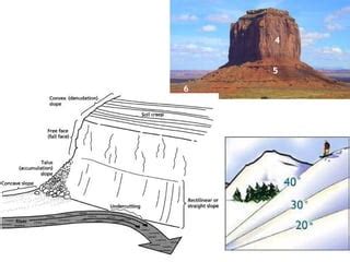 Image result for Kings Property Calculus Examples