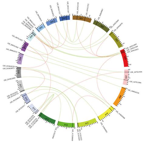 Identification and Evolutionary Analysis of Cotton (Gossypium hirsutum ...