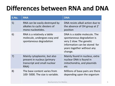 RNA Types 的图像结果
