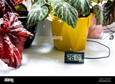 Image result for Flower Pot with Humidity Sensor