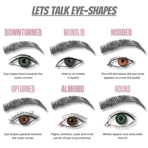 Different Types Of Eyes Shapes