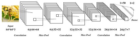 ANN-Based Continual Classification in Agriculture
