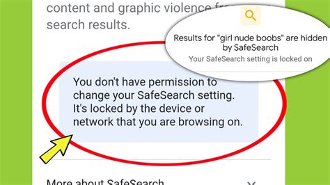 SafeSearch Settings 的图像结果