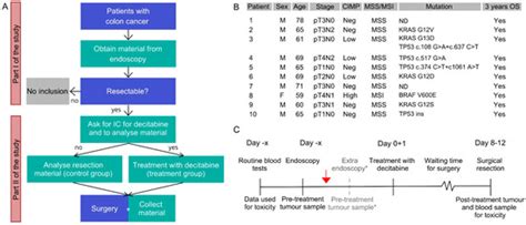 Cancers | Special Issue : In Vitro and In Vivo Models of Colorectal ...