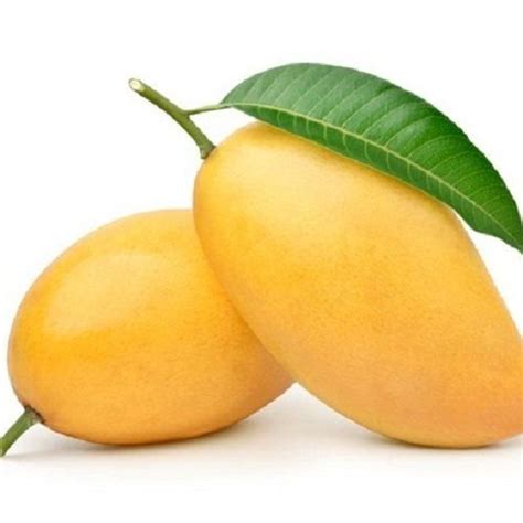 Fresh Mango Exporter,Wholesale Fresh Mango Supplier from Gurugram India
