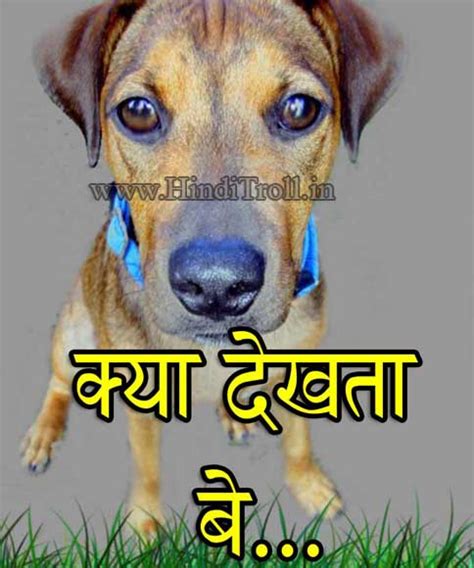FUNNY WALLPAPER IN HINDI WORDS