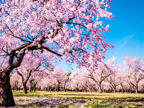 Colorful World 的图像结果