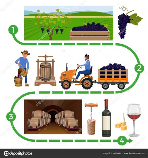 Wine Fermentation Process 的图像结果
