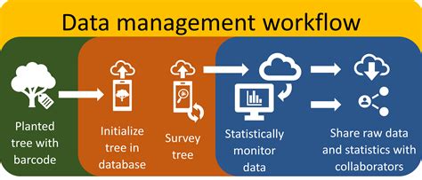Managing Data 的图像结果