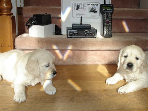 Nce Mini Panel Programming 的图像结果