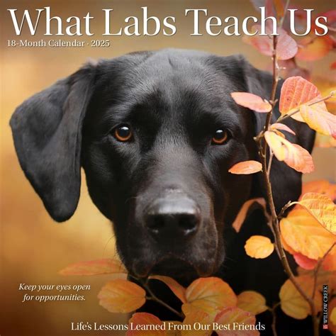 Buy What Labs Teach Us 2025 12 X 12 Wall Calendar Book Online at Low ...