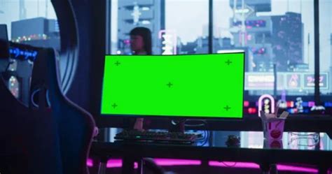 Image result for Green Computer Screen Fallout