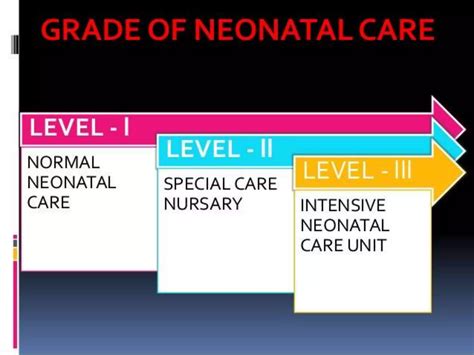 Levels of neonatal care | PPTX