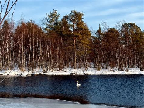 ARCTIC FRONTIER (2026) All You Need to Know BEFORE You Go (with Photos ...