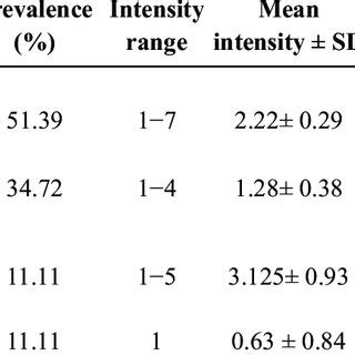 Intensity Range 的图像结果