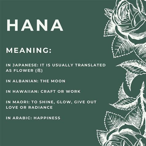 Meaning In Arabic Of Hana at Stanley Musso blog