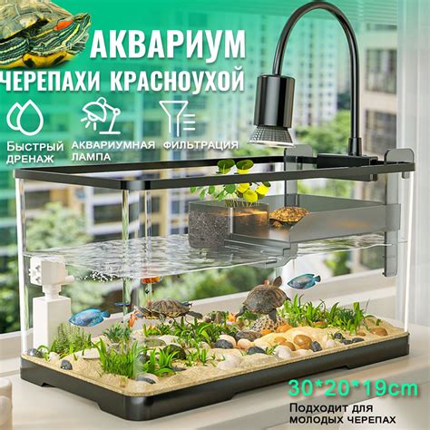 Поликультура рыб и черепах бытовые маленькие аквариумы купить на OZON ...