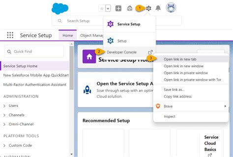 Image result for Salesforce Developer Console