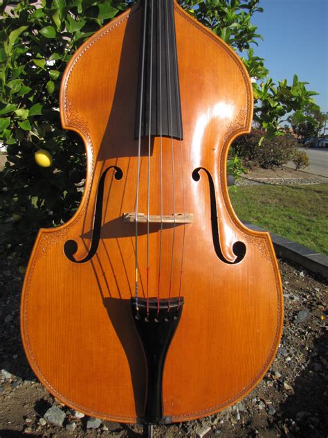 String Bass Instrument