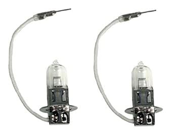 Dorcy 41-1681 H3-6V 100 Watt Halogen Replacement Bulb - 2 Pack : Amazon ...