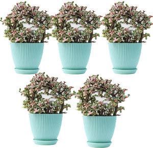 COLOSSAL 6 Inch Flower Pots Planters Indoor & Outdoor Gamla for Flowers ...