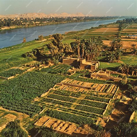 The impact of the Nile River on ancient Egyptian agriculture and ...