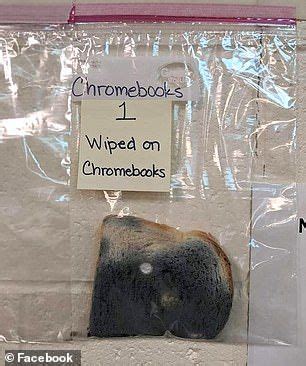 Image result for Hand Washing Experiment with Bread