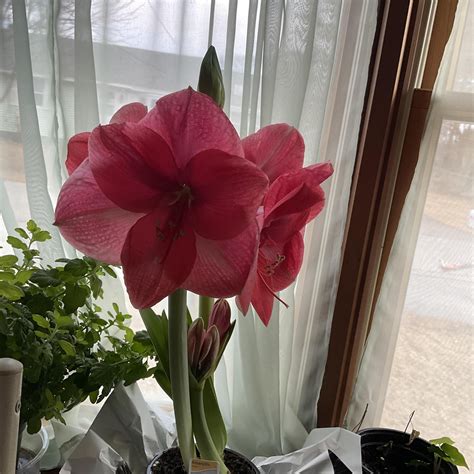 Dracut Funeral Home added a new photo. - Dracut Funeral Home