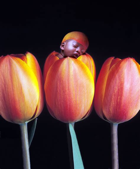 Remember These Baby Photos by Anne Geddes? | Anne geddes, Geddes, Anne