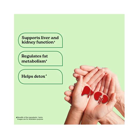 Organic India Liver-Kidney Care Capsules - Cureka