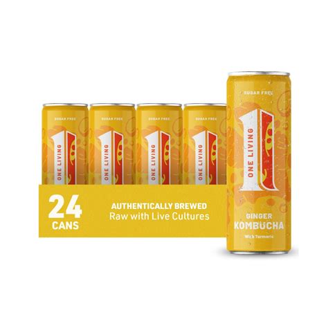 One Living Kombucha Drink Ginger With Turmeric 24 X 250ml | Desertcart ...