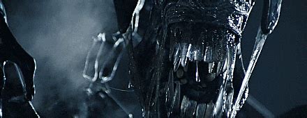 alien facehugger | Tag | PrimoGIF
