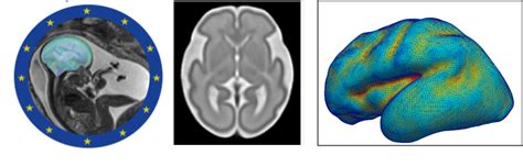 Google Scholar Deep Learning Model Image 的图像结果