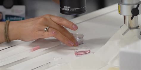 Egg Donation – Ohio Reproductive Medicine